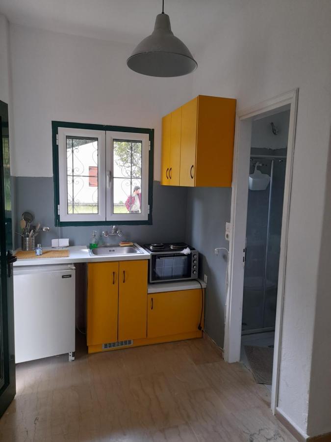 Olive Terra Holiday Aparments Lefkimmi  Dış mekan fotoğraf